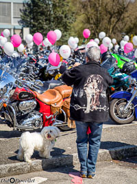 TEM-Ambiance-2016-218.jpg