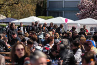 TEM-Ambiance-2016-275.jpg