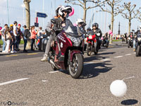 TEM-Défilé-2017-1838.jpg