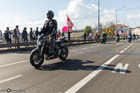 TEM-Défilé-2017-1739.jpg