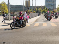 TEM-Défilé-2017-1427.jpg