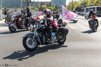 TEM-Défilé-2017-1428.jpg