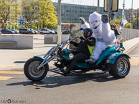 TEM-Défilé-2017-1435.jpg