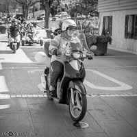 TEM-Défilé-2017-1146.jpg