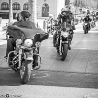 TEM-Défilé-2017-1158.jpg