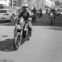 TEM-Défilé-2017-1198.jpg